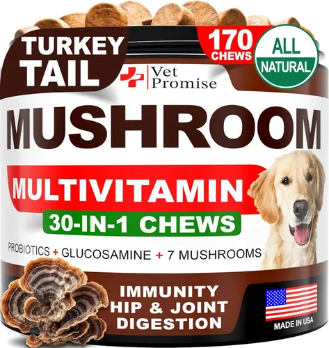 Hongo Cola de Pavo para Perros - 170 Masticables - Suplemento de Hongos para Perros - Melena de León - Reishi - Apoyo Inmunológico Multivitamínico
