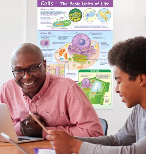 Miniatura 4 de NewPath Learning-34-6101 Póster de Células - Laminado, A Todo Color, 23" x 35