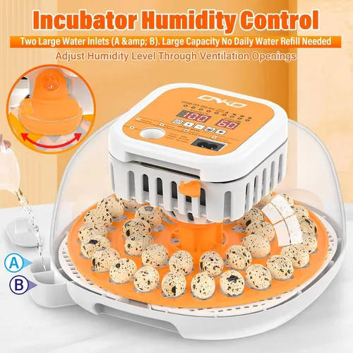 Miniatura 6 de 36 incubadoras de codorniz para incubar huevos, incubadora de huevos de codorniz con giro automático de huevos y control de humedad, control