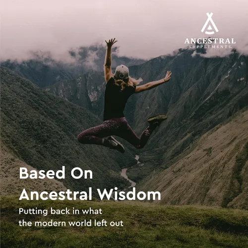 Miniatura 5 de Ancestral Supplements Minerales y electrolitos con magnesio, potasio, sodio, apoya la hidratación óptima, la salud inmunológica, el rendimiento