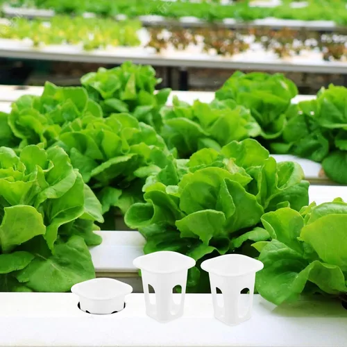 Miniatura 2 de Cabilock 50 macetas de orquídeas con agujeros, 50 cestas de cultivo hidropónicas, plantas para interiores y exteriores, para suministros de jardín