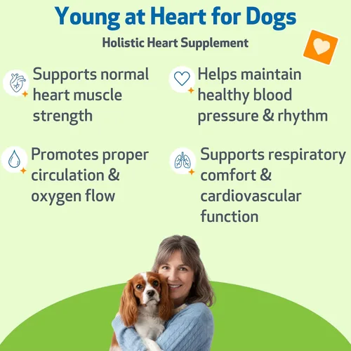 Miniatura 2 de Pet Wellbeing Young at Heart para perros - Apoyo a la salud cardíaca para personas mayores, bienestar cardiovascular con espino y agripalma