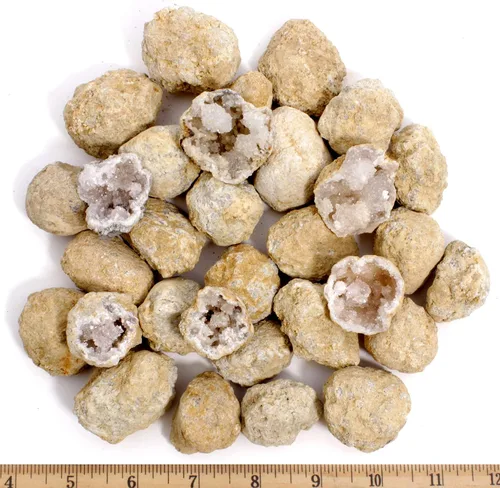 Miniatura 9 de DANCING BEAR 25 Rompe tus propias geodas, (Mediana 1-1.5") 90% hueca, ¡Abre y descubre asombrosos cristales sorpresa dentro! Información educativa e