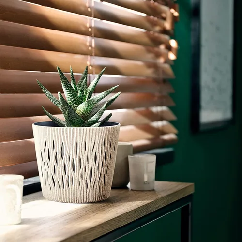 Miniatura 6 de Prosperplast Maceta, Madera, Verde, Muy pequeño