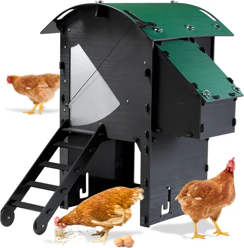 Miniatura 8 de Gallinero de plástico de 25 años de vida útil, gallinero pequeño para 3 pollos o 5 bantams Adecuado para gallinas grandes e ideal para pollos
