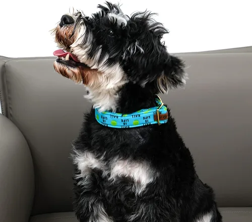 Miniatura 3 de Collar para perro Lionet Paws, cómodo y ajustable, collar lindo con hebilla de metal para perros machos y hembras, patrón de pelota de tenis, Tennis