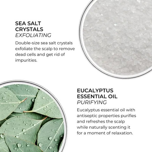 Miniatura 4 de PHYTO Scalp Solutions - Exfoliante purificador de sal marina y eucalipto de limpieza profunda, elimina la acumulación, sin silicona ni sulfatos