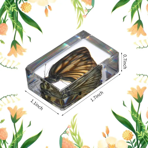 Miniatura 2 de 12 piezas de insectos de mariposa en resina colección de insectos, 12 estilos, kit de insectos reales preservado en resina para suministros