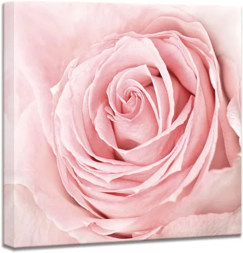 Lienzo de primer plano con rosas rosadas, arte de pared rosa rubor, decoración de baño, luz estética, decoración de dormitorio, obras de arte para