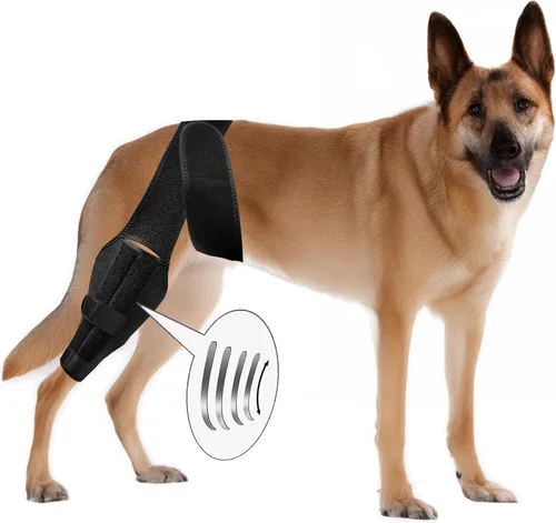 Rodillera para perro para luxación de rótula, ligamento cruzado anterior o ligamento cruzado, osteoartritis, displasia de cadera o alivio del dolor