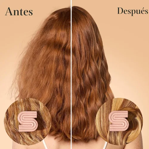 Miniatura 5 de Kitsch Barra de champú de aceite de argán – Champú reparador para el cabello para hombres y mujeres – Fortalecimiento, cuidado nutritivo