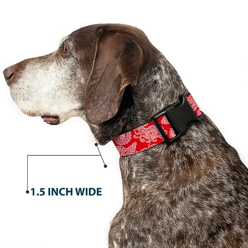 Miniatura 7 de Buckle-Down Collar de clip de plástico rojo y blanco Paisley de 9-15 pulgadas, pequeño