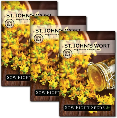Miniatura 8 de Sow Right Seeds - Semillas de hierba de San Juan para plantar - Herencia sin OMG - Hierba medicinal fácil de cultivar - Ideal para jardines