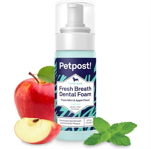 Petpost | Fresh Breath Foam for Dogs - Solución dental con sabor a menta y manzana que elimina el mal aliento - Tratamiento de limpieza dental