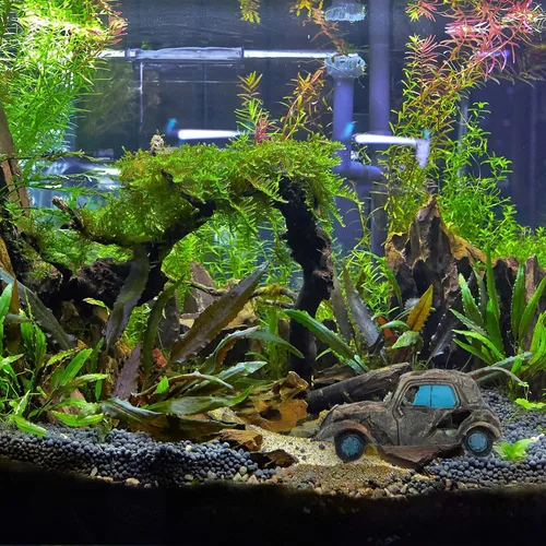 Miniatura 6 de Mipcase Paisajismo Escondite Acuario Paisaje Tanque Peces Camarones Decoración Ornamento Gris Cabaña Cuevas Decoración Escondite Adornos Automóvil