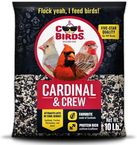 Cool Birds Cardinal & Crew Semilla para Aves Silvestres – 10 lb. Girasol de Aceite Negro, Corazones de Girasol y Mezcla de Cártamo para Cardenales,