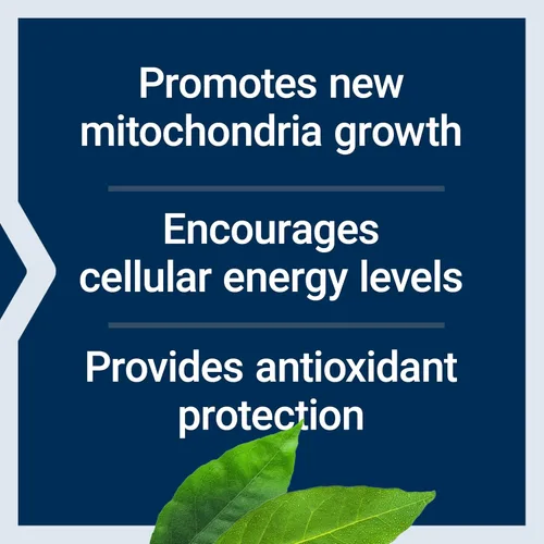 Miniatura 4 de Life Extension PQQ Caps - Pirroloquinolina Quinona, 10 mg - Promueve el crecimiento de nuevas mitocondrias, ATP, apoyo energético - Sin gluten, sin