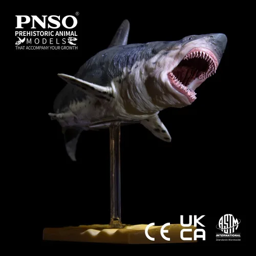 Miniatura 5 de PNSO Animal marino (Patton El Megalodon (tiburón blanco grande) 13")