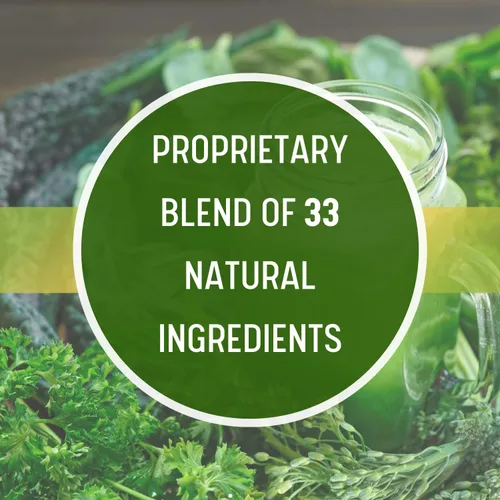 Miniatura 4 de Daily Health, Ultimate Greens con MSM en polvo, ingredientes naturales veganos sin gluten, soja, sin OMG, superalimento, bebida nutricional vegetal