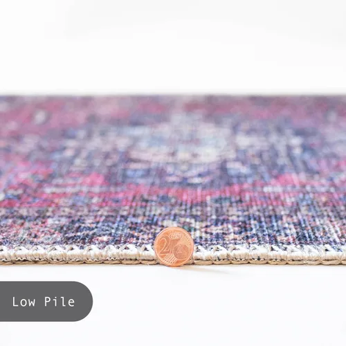 Miniatura 113 de GLN Rugs Traditional Collection - Alfombra de felpilla lavable a máquina, tradicional lavable, antideslizante, alfombra de felpilla de pelo corto