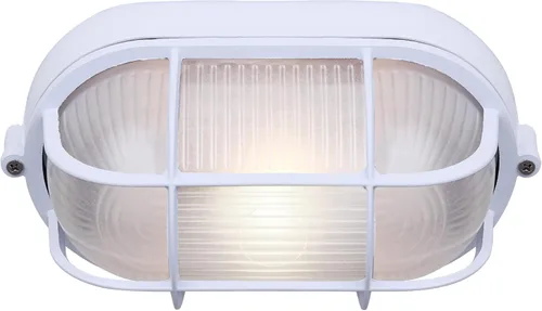 Canarm Lámpara de pared o techo para exteriores, acabado blanco de estilo marino, iluminación exterior duradera para porche, patio o entrada al aire