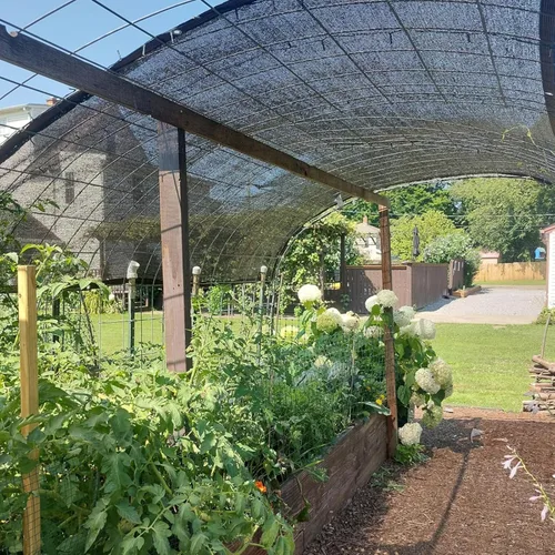 Miniatura 4 de Tela de Sombra para Plantas de Jardín y Invernadero, 40-50% de Protección Solar - para Jardín al Aire Libre, Césped, Telas de Sombra Solar