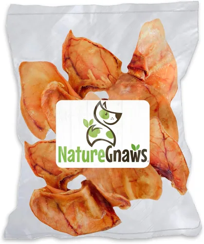 Miniatura 10 de Nature Gnaws Orejas de cerdo para perros (8 unidades) – Gruesas de larga duración para masticadores agresivos y perros grandes – Huesos naturales