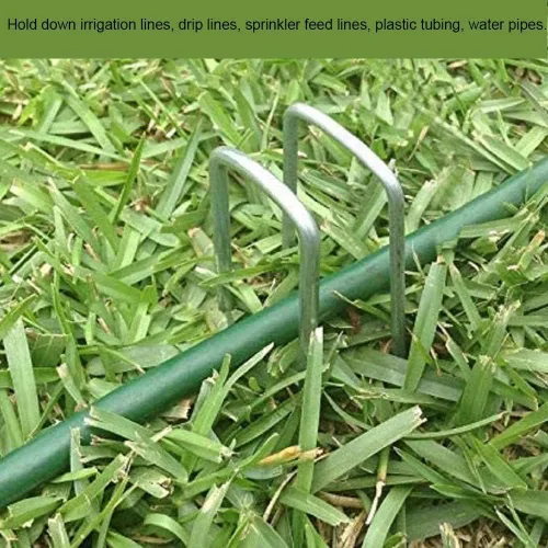 Miniatura 6 de AAGUT Paquete de 50 grapas galvanizadas de 12 pulgadas para jardín, grapas en forma de U, grapas de jardinería para anclaje de césped, tubería