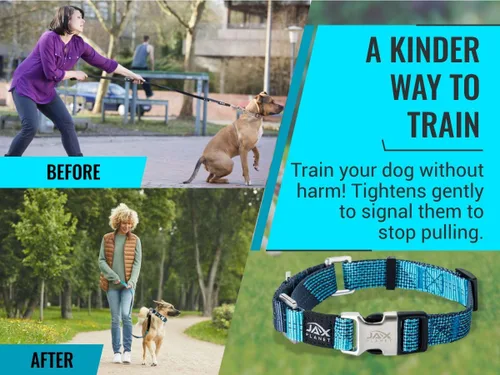 Miniatura 4 de Collar Martingale para perros, collar de entrenamiento para perros sin tirones y antideslizante, nailon resistente para caminar activamente, hebilla