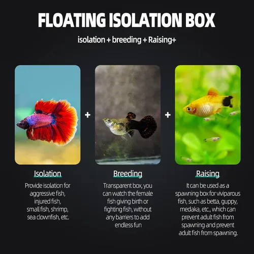 Miniatura 2 de Caja de cría para tanque de peces, caja de incubadora de vivero de acuario, caja de criador, divisor de aislamiento, cajas de eclosión para peces