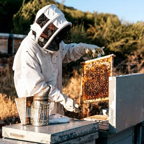 Miniatura 5 de HARFINGTON Traje de abeja para hombres y mujeres, L trajes de apicultura con guante y velo capucha, trajes de abeja para hombres, a prueba de patio