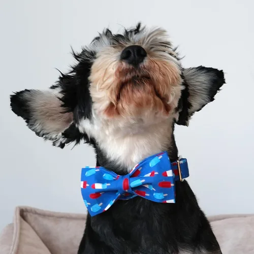 Miniatura 2 de Lionet Paws Collar patriótico para perro con corbatín, 4 de julio, suave y cómodo, ajustable, de verano, con pajarita, para perros, macho y hembra