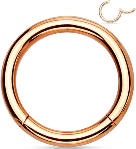 Miniatura 19 de Forbidden Body Jewelry - Piercing para la nariz de acero quirúrgico 316L con bisagra, 14G, 16G, 18G, diámetro de 15/64, 5/16, 25/64, 15/32 pulgadas
