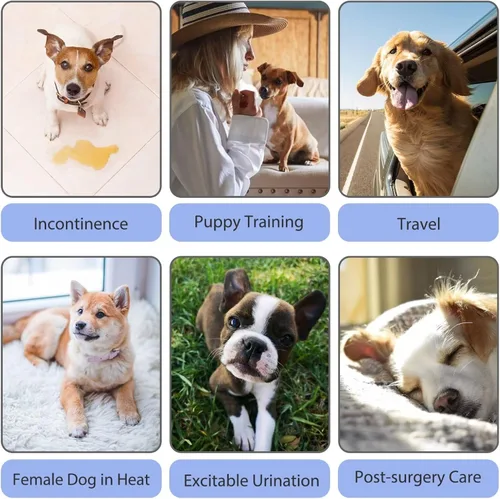 Miniatura 6 de Paw Legend - Paquete de 3 unidades de pañales lavables y reutilizables para perras hembras para el período de celo Pañales para perritas