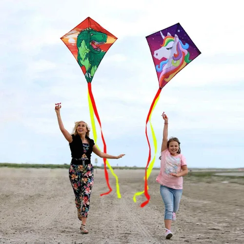 Miniatura 4 de HONBO Cometa de bricolaje para niños, cometa para principiantes para niños, maravillosa cometa Eddy para 3 años en adelante, con colas largas de 0.8