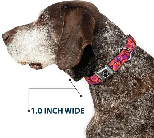 Miniatura 6 de buckle-down 13 – 18" Boho Mandala morados/Naranjas/PINKS perro collar HUESO, Wide pequeñas