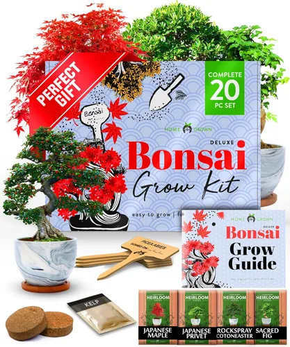 HOME GROWN Kit de Árbol Bonsái – Juego Inicial Premium de Cerámica con 4 Variedades de Bonsái – Fácil Regalo de Jardinería Interior para Hombres y