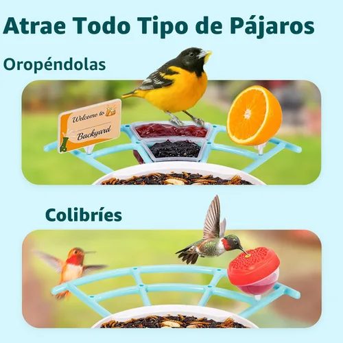 Miniatura 3 de NETVUE by Birdfy Pro Perch - Percha de extensión más amplia para complementos de bricolaje, incluyendo bola de sebo, mini comedero para colibríes