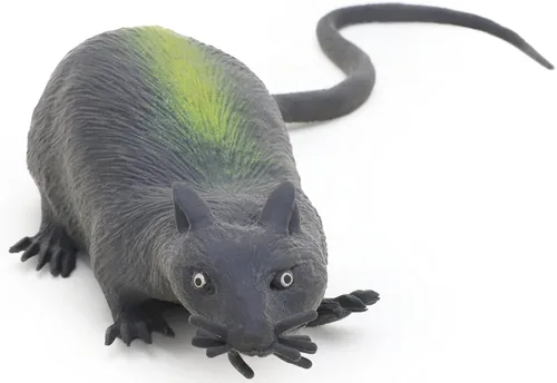 Miniatura 3 de Rata elástica de goma de 5.1 in con cola larga - Halloween - Juguetes novedosos (HL17) [Juguete]