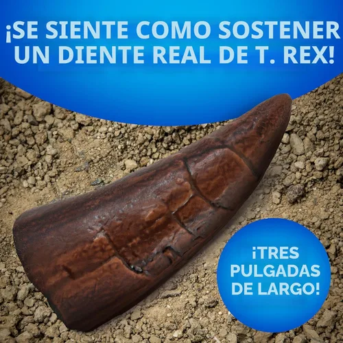 Miniatura 4 de Juego de excavación de fósiles de dinosaurios NATIONAL GEOGRAPHIC y libro de dinosaurios para niños - Excava un fósil de diente de dinosaurio
