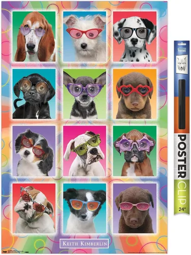 Miniatura 13 de Trends International Keith Kimberlin - Póster de pared con diseño de cachorros, gafas de sol, 14.725 x 22.375 pulgadas, versión enmarcada de madera