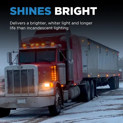 Miniatura 5 de Wagner Lighting H6024 - Bombilla multiusos estándar (1 unidad)