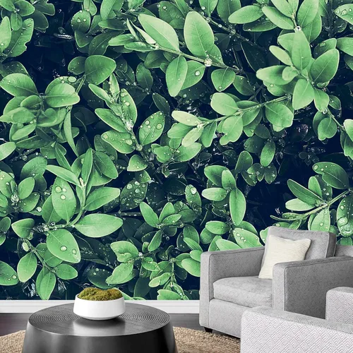 Miniatura 47 de wall26 serie Wall Mural Papel de empapelar autoadhesivo, grande., WMR-WP-X-D986-66x24x4