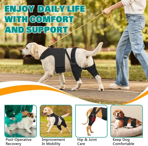 Miniatura 7 de Rodillera para perro, pierna trasera, ajustable, con 4 estabilizadores, soporte de cadera para reducir el dolor, lesiones en los ligamentos y rótula