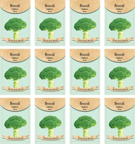 Miniatura 4 de Juego de 12 paquetes de semillas de verduras de roqueta de rúcula, crea un jardín de lujo, todas las semillas son reliquias, 100% sin OMG