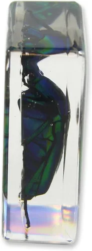 Miniatura 2 de Pisapapeles verde Chafer Beetle (1 1/8 x 1 3/4 x 3/4)