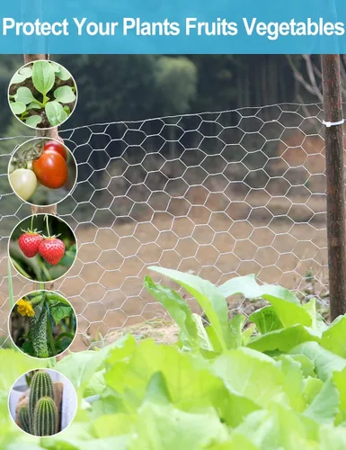 Miniatura 3 de TOYPOPOR Alambre de pollo de 16 pulgadas x 66 pies (15.7 in x 65.6 ft), malla de alambre galvanizado hexagonal antioxidante para exteriores