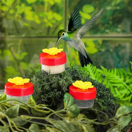Miniatura 5 de 8 unidades de comedero de colibrí de mano para ventana, mini comedero de mano para colibrí, pájaros salvajes para exteriores, patio, suministros