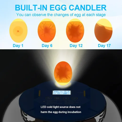 Miniatura 7 de 18 incubadoras de huevos para incubar huevos con control de temperatura, incubadora de huevos con giro automático de huevos y pantalla de humedad