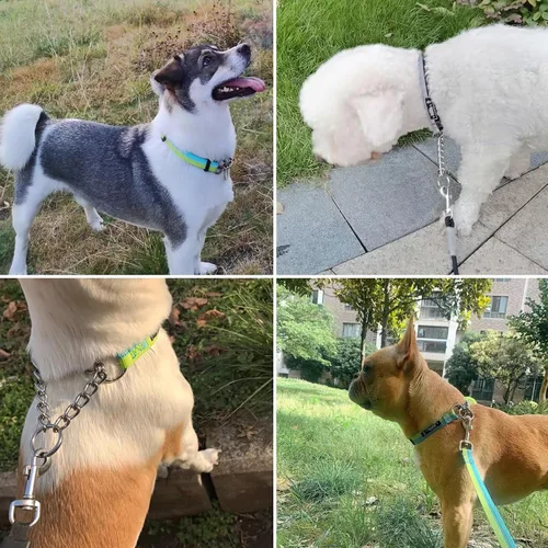 Miniatura 2 de LOS ANDES Collar Martingale para perros, collar reflectante para perros, collar de gargantilla para perros, collar de perro sin tirones, collares